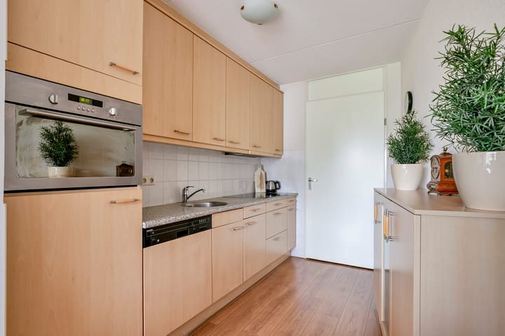 Foto 8 van Goudreinet 63