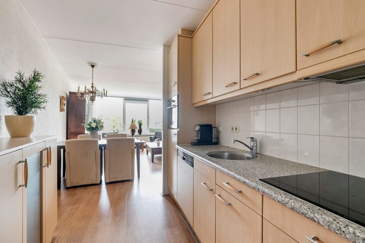 Foto 9 van Goudreinet 63