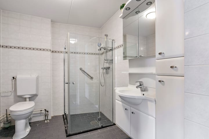 Foto 15 van Goudreinet 63