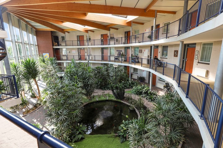 Foto 20 van Goudreinet 63