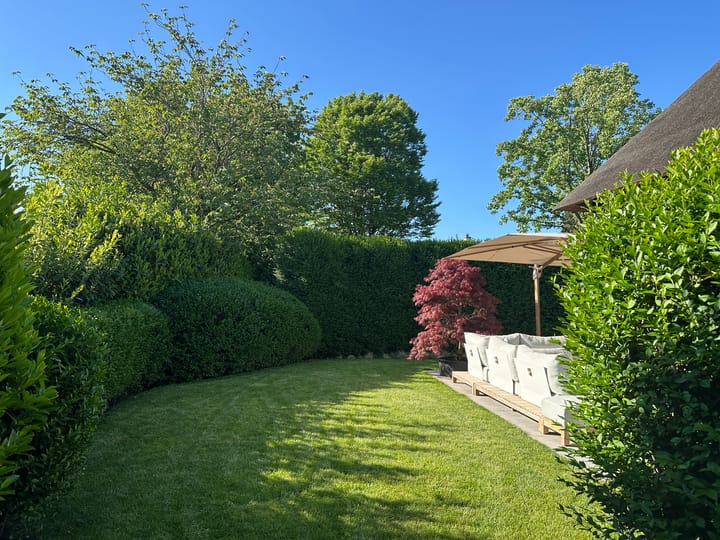 Photo 6 of Loostraat 52