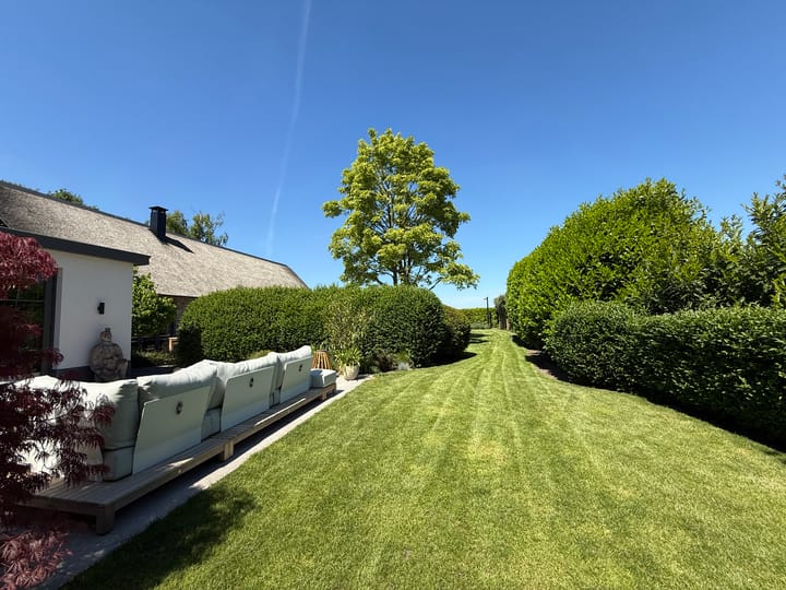 Photo 7 of Loostraat 52