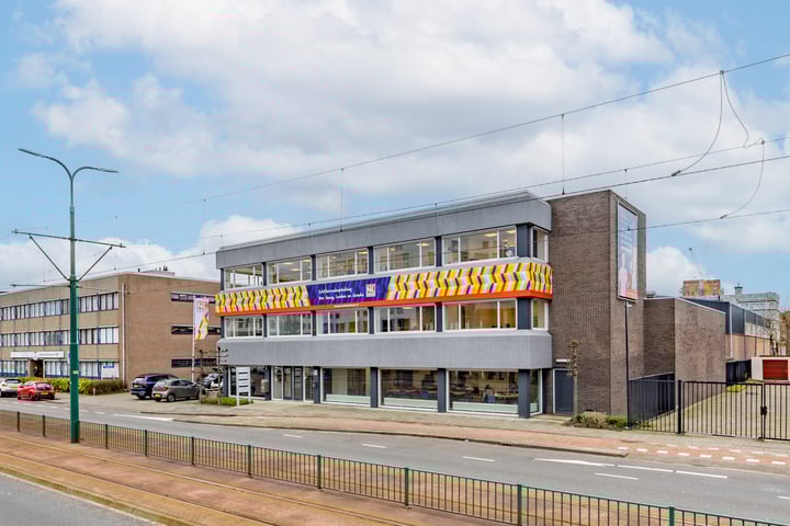 Visseringlaan 16, Rijswijk (ZH)