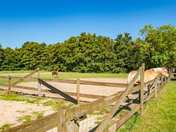 Foto 58 van Voordorpsedijk 67