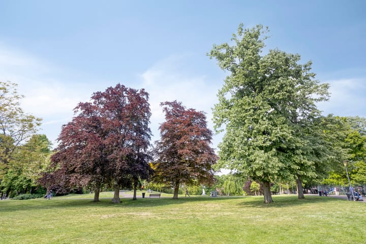 Foto 21 van van Berchenstraat 24