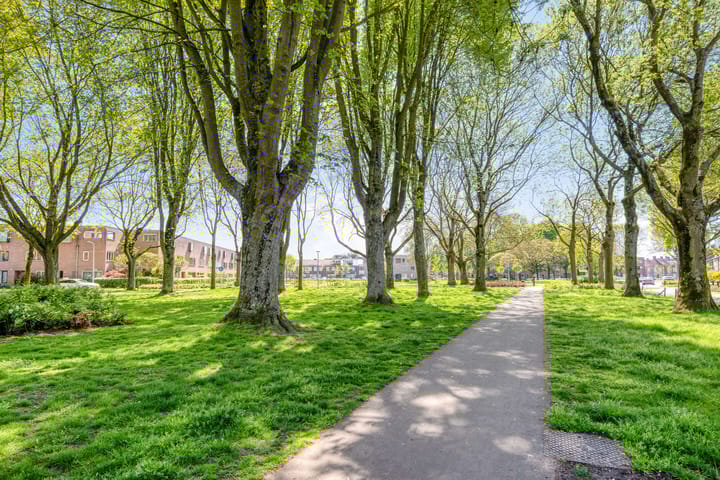 Foto 45 van Hasseltstraat 95