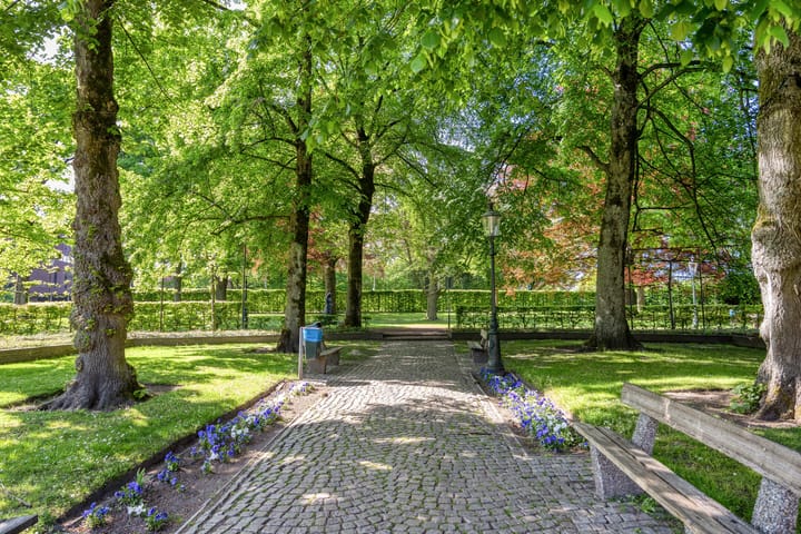 Foto 46 van Hasseltstraat 95