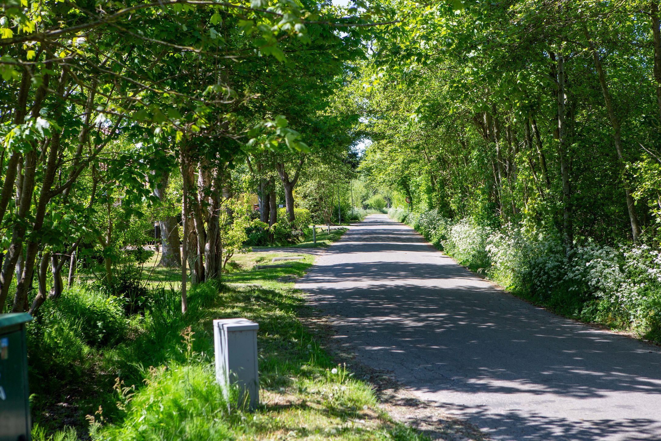 Foto 24 van Duinweg Formerum 5-A13