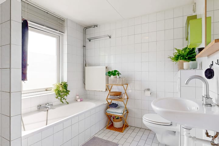 Foto 18 van Schuitenmaker 30