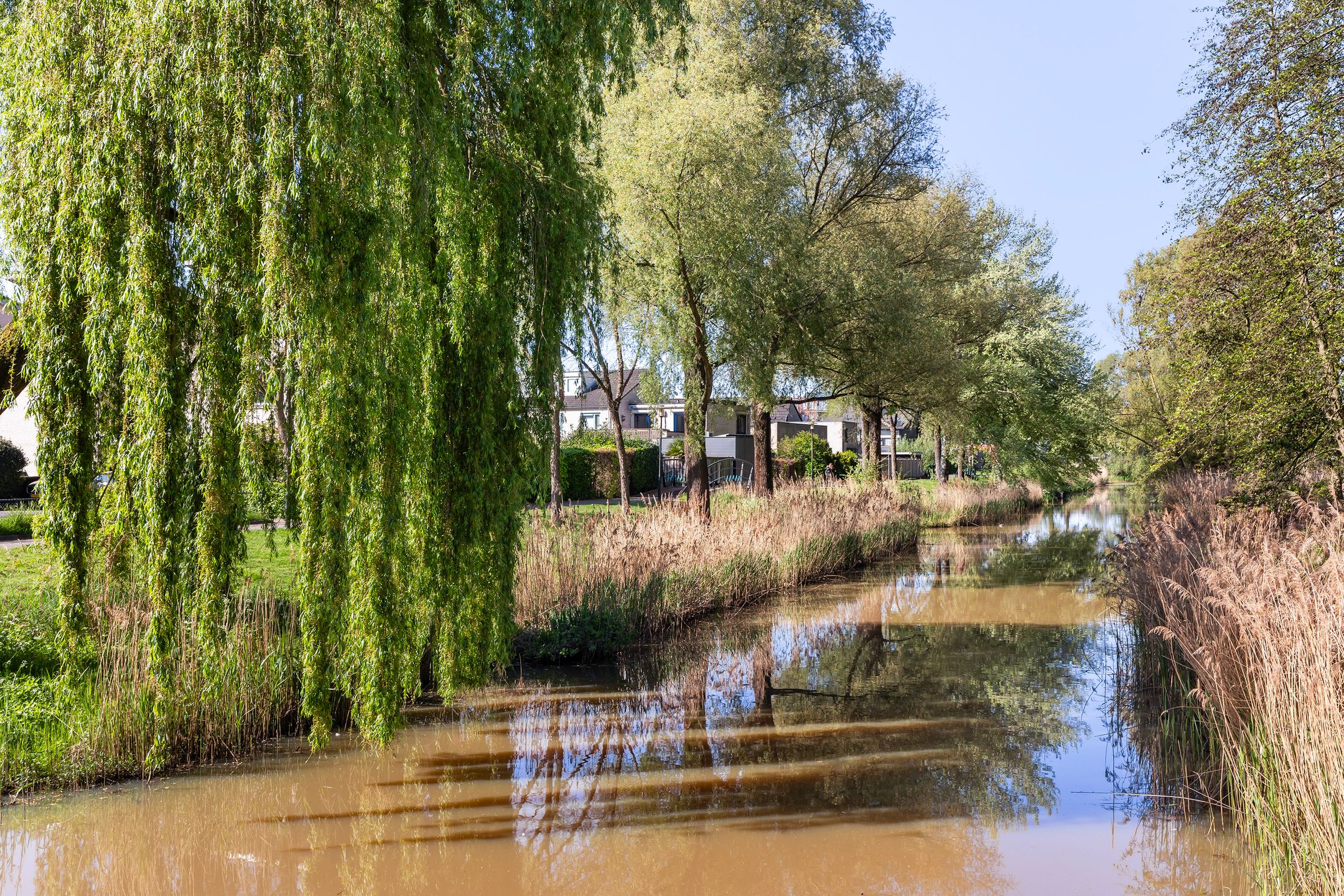 Foto 42 van Westkreek 48