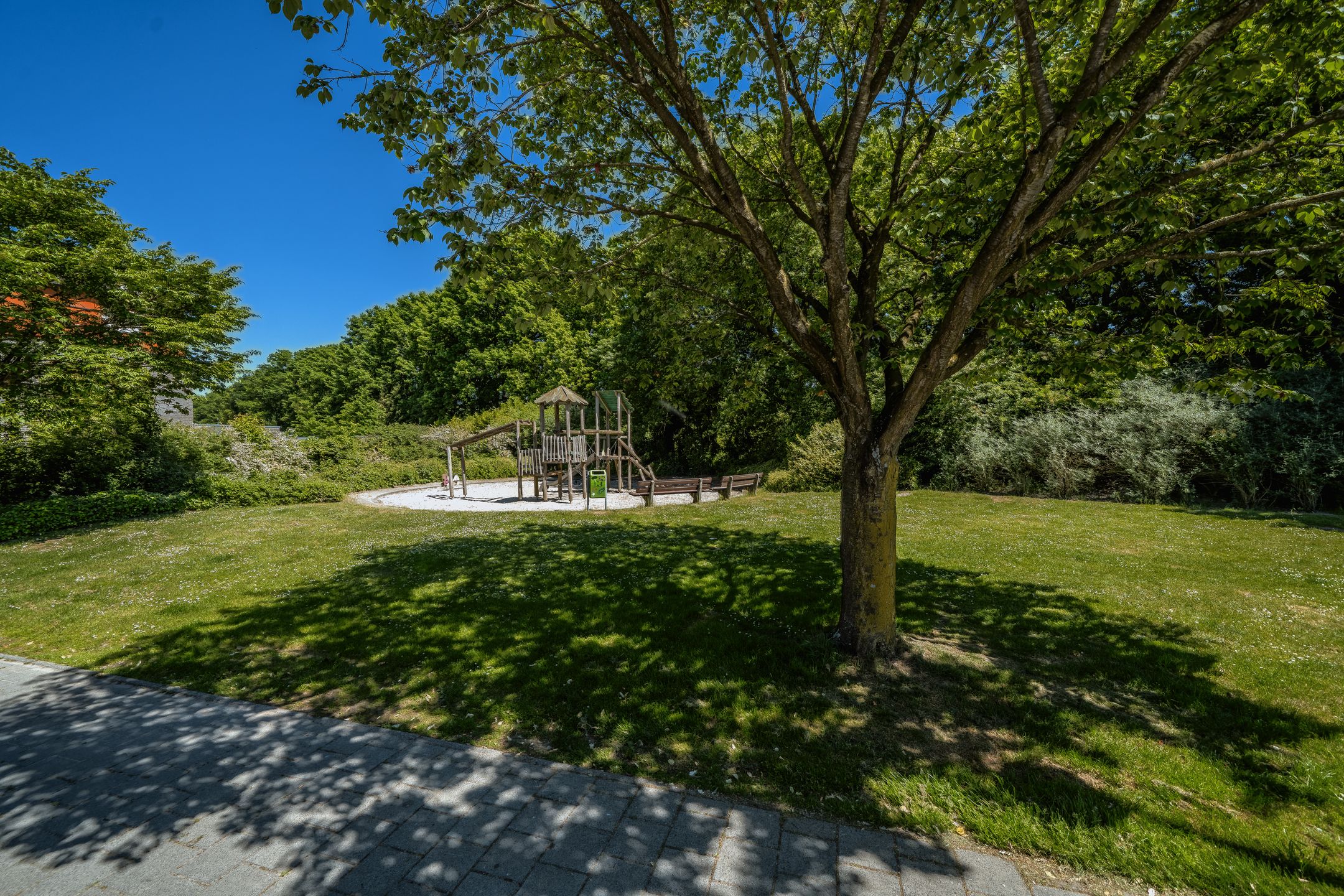 Foto 12 van Assepoester 13