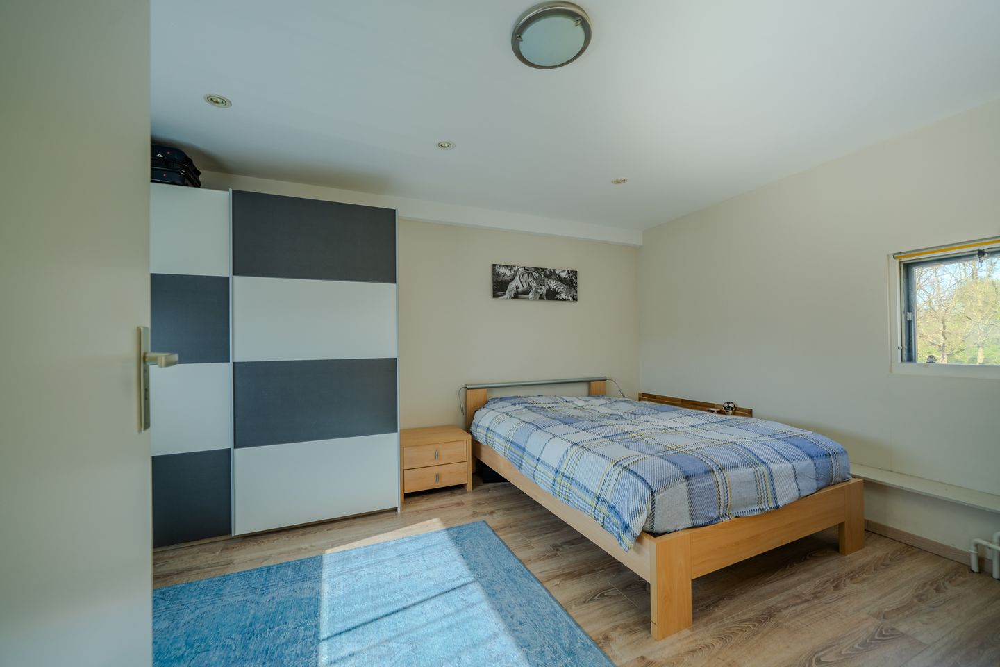 Foto 34 van Assepoester 13