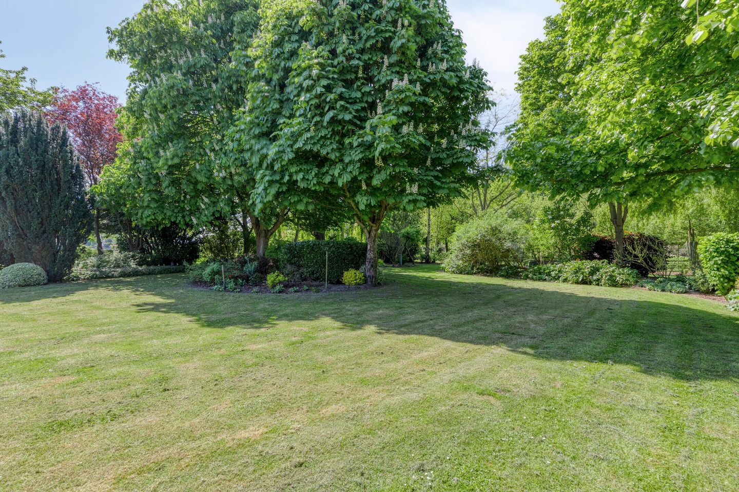 Foto 20 van Molendijk 140-A