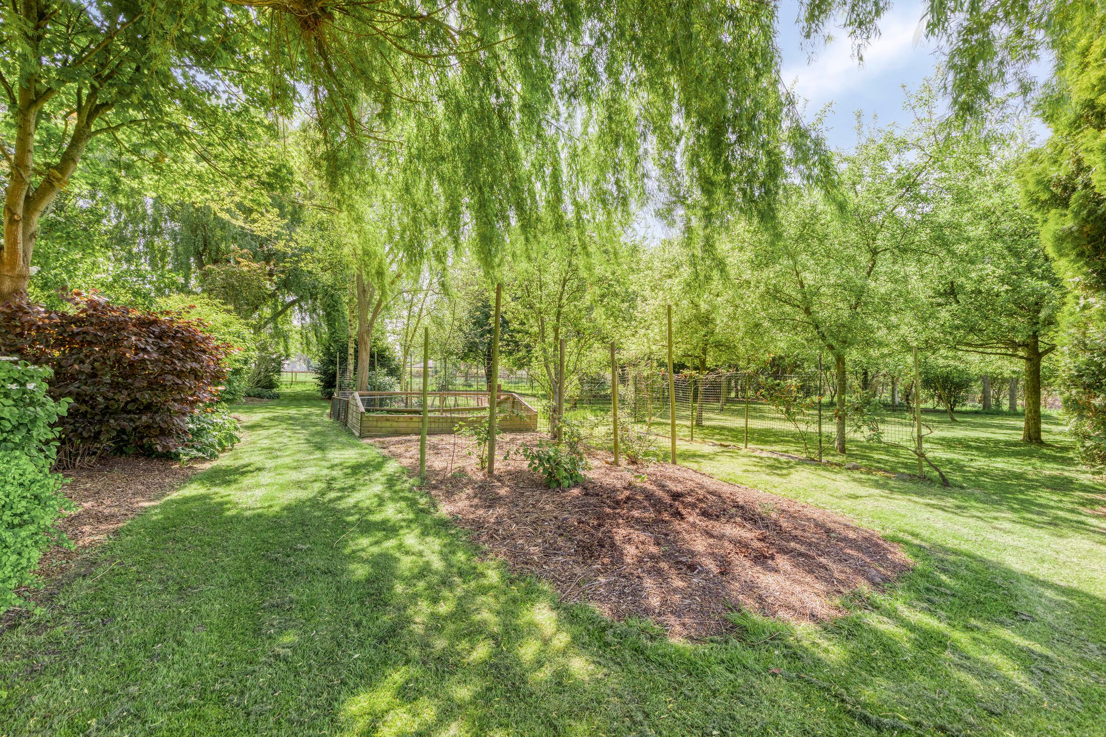 Foto 21 van Molendijk 140-A