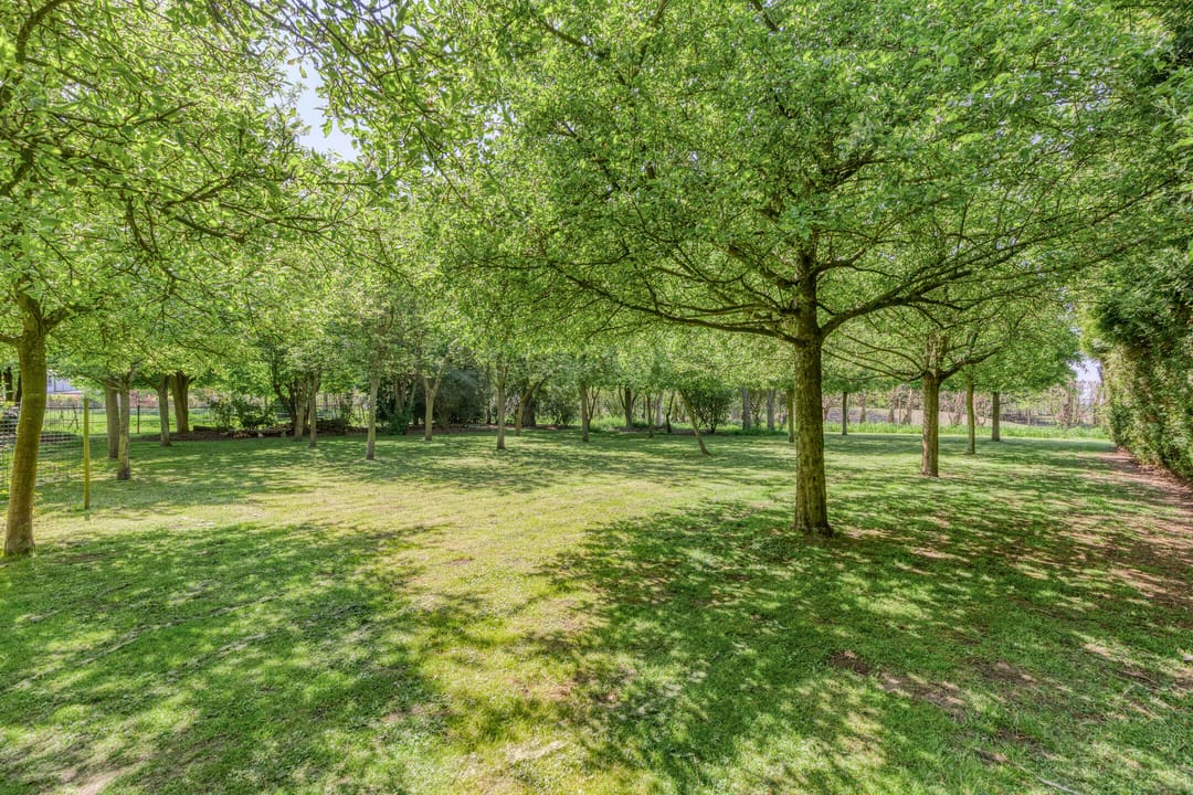 Foto 22 van Molendijk 140-A