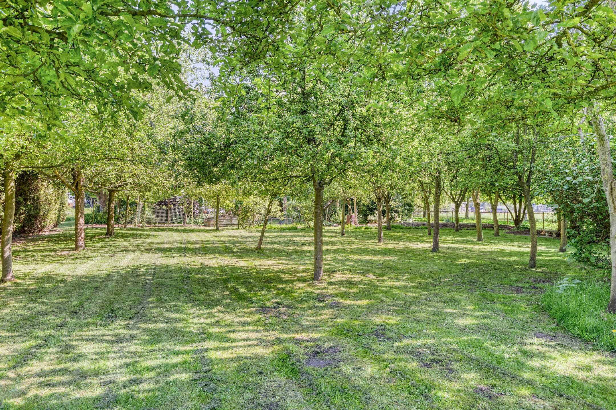 Foto 24 van Molendijk 140-A