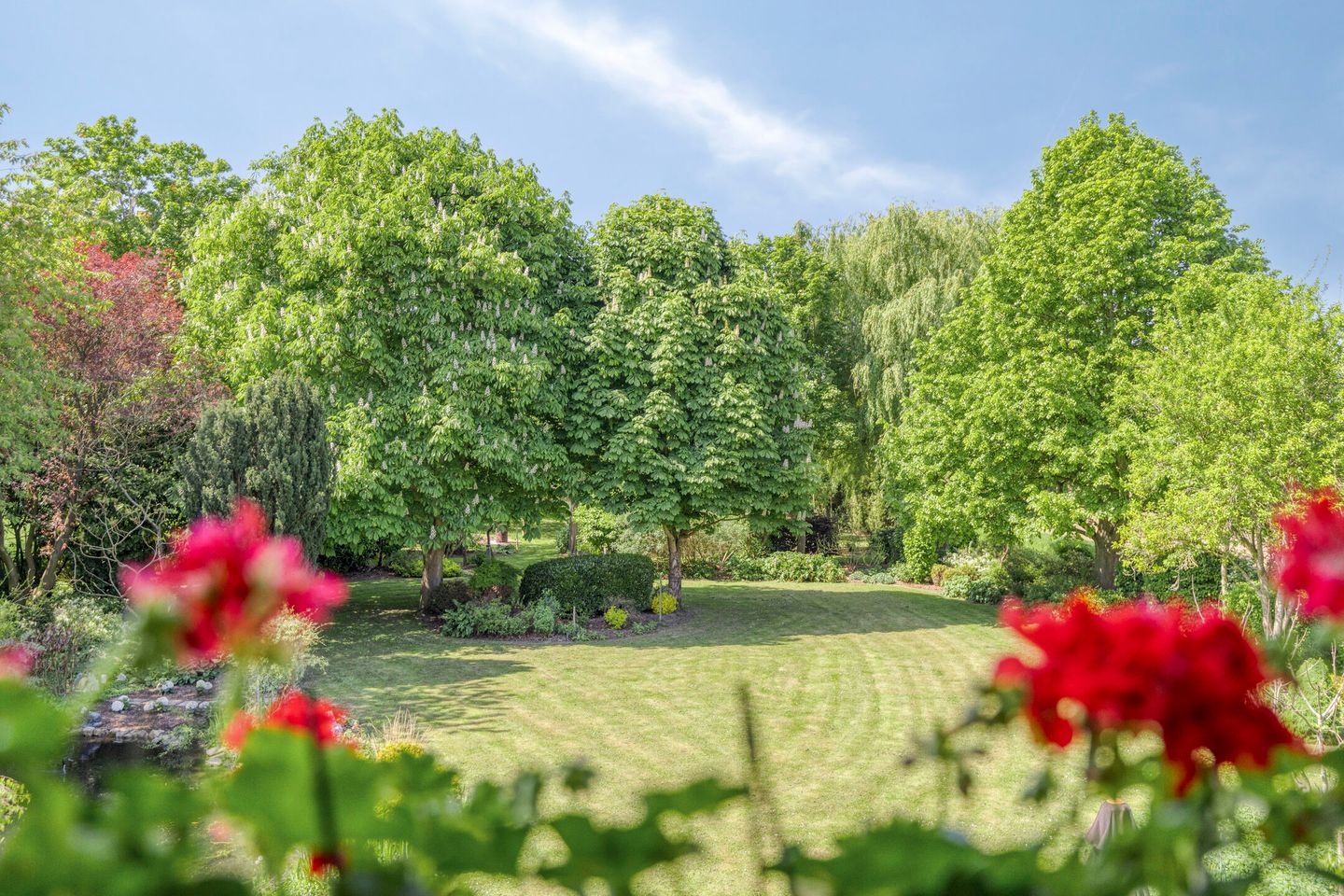 Foto 44 van Molendijk 140-A