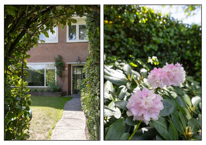 Foto 3 van Nachtegaallaan 2