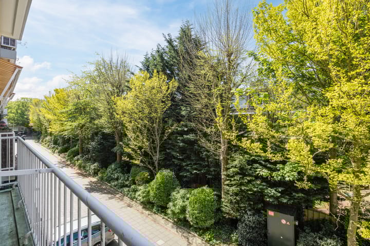 Foto 16 van Laan van Clingendael 84