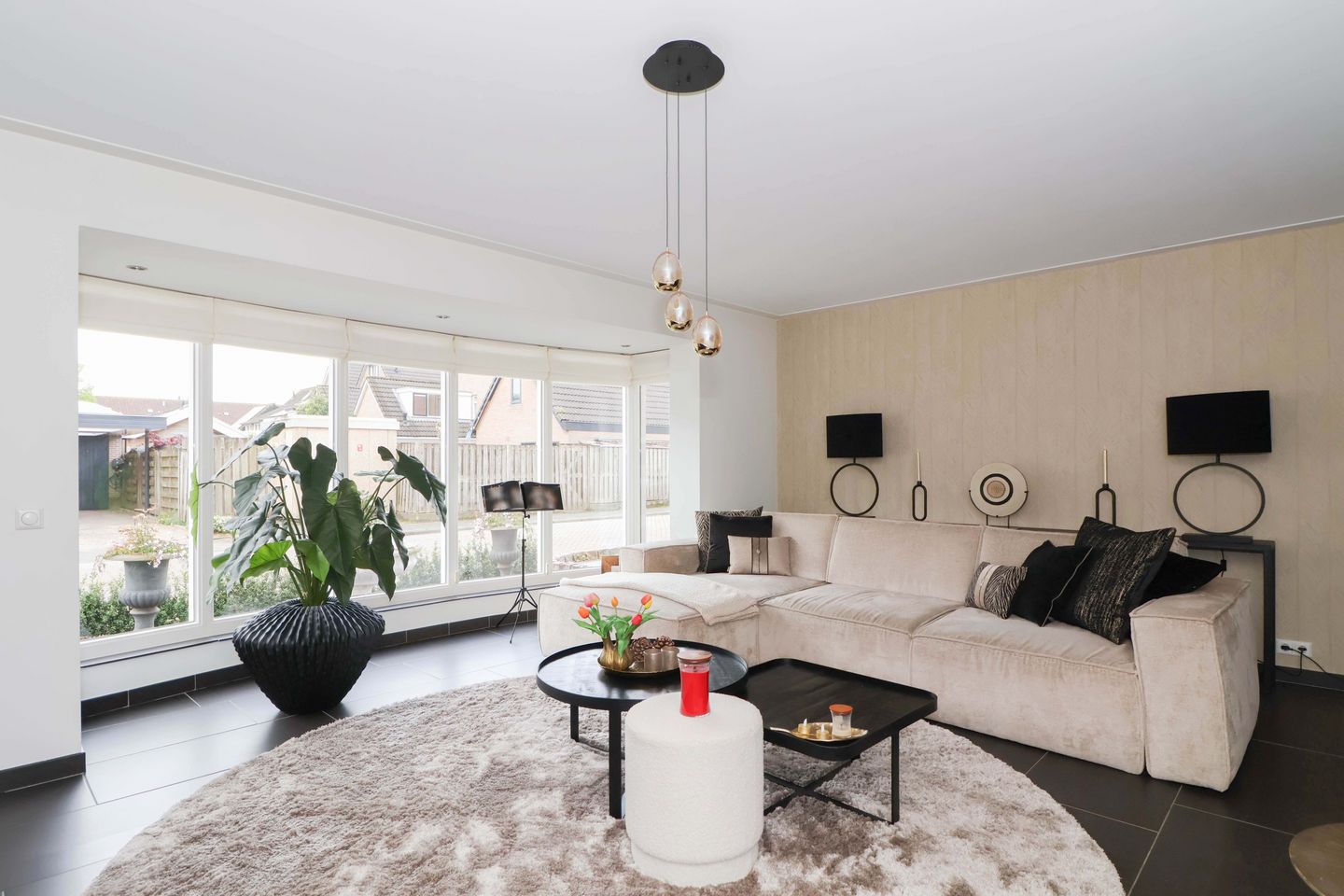 Foto 4 van Plevier 135