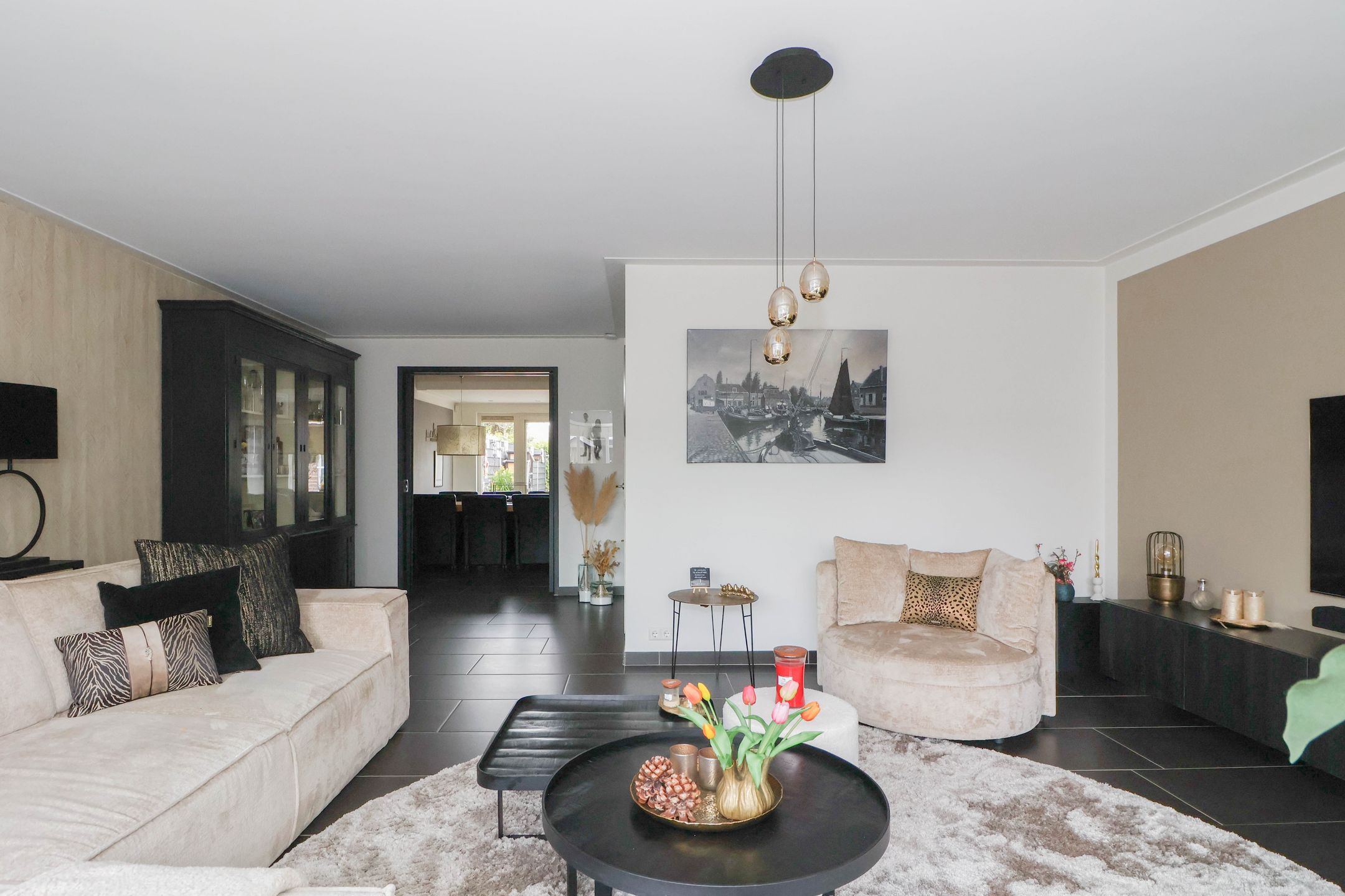 Foto 6 van Plevier 135