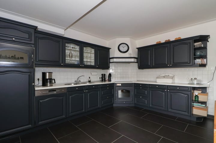 Foto 10 van Plevier 135