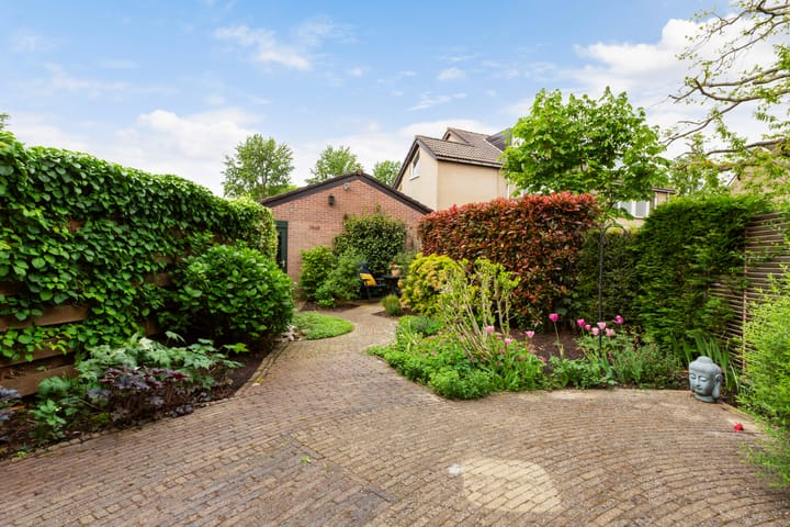 Foto 2 van Struisgras 3