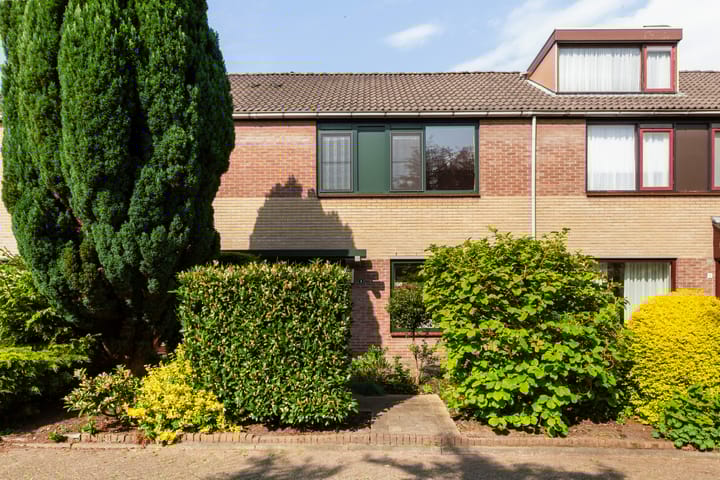 Foto 4 van Struisgras 3