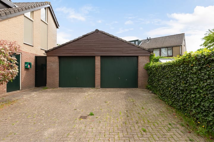 Foto 3 van Struisgras 3