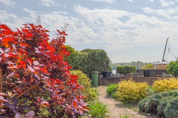 Foto 30 van Rivierdijk 32