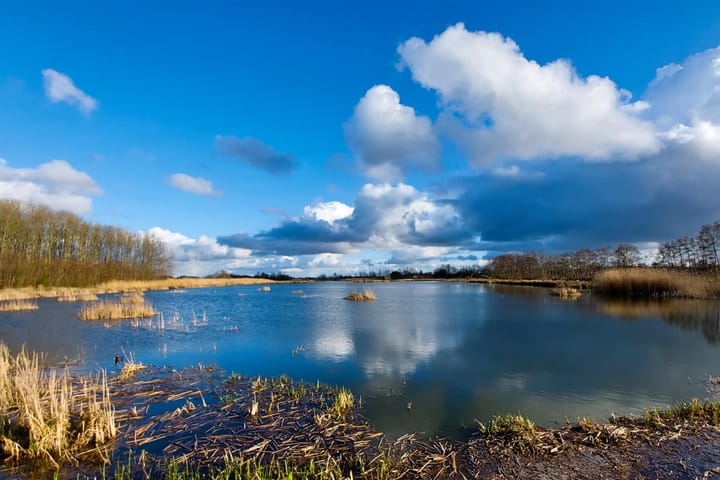 Foto 4 van Marijkepaed 38