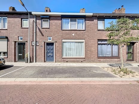 undefined main image