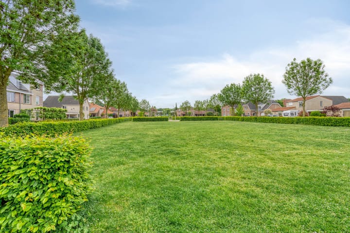 Foto 39 van Grote Loef 33