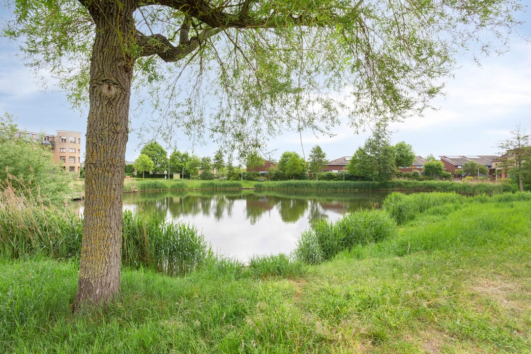 Foto 41 van Grote Loef 33