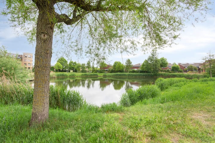 Foto 41 van Grote Loef 33