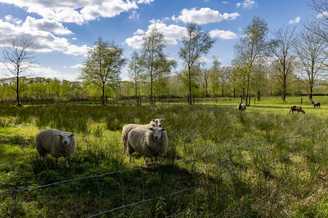 Foto 41 van Driehoekweg 1
