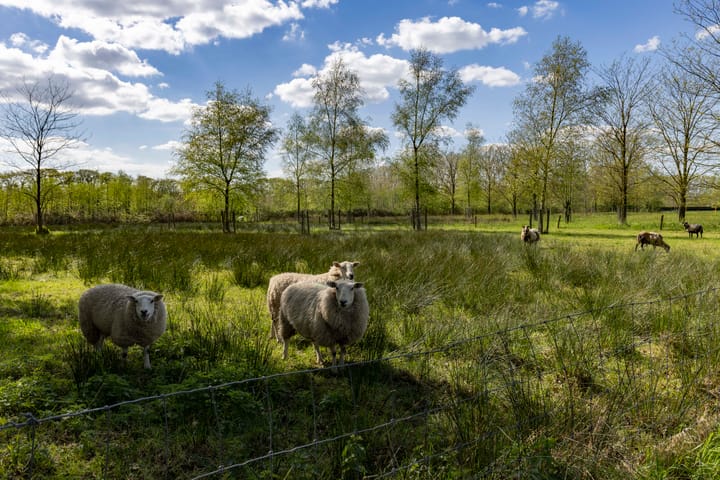 Foto 41 van Driehoekweg 1