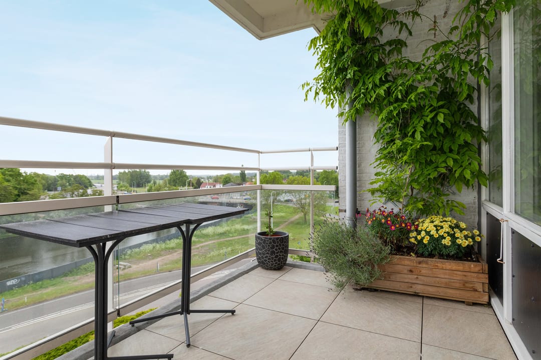 Foto 16 van Plantijnstraat 59