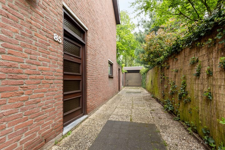 Foto 4 van Meidoorn 85