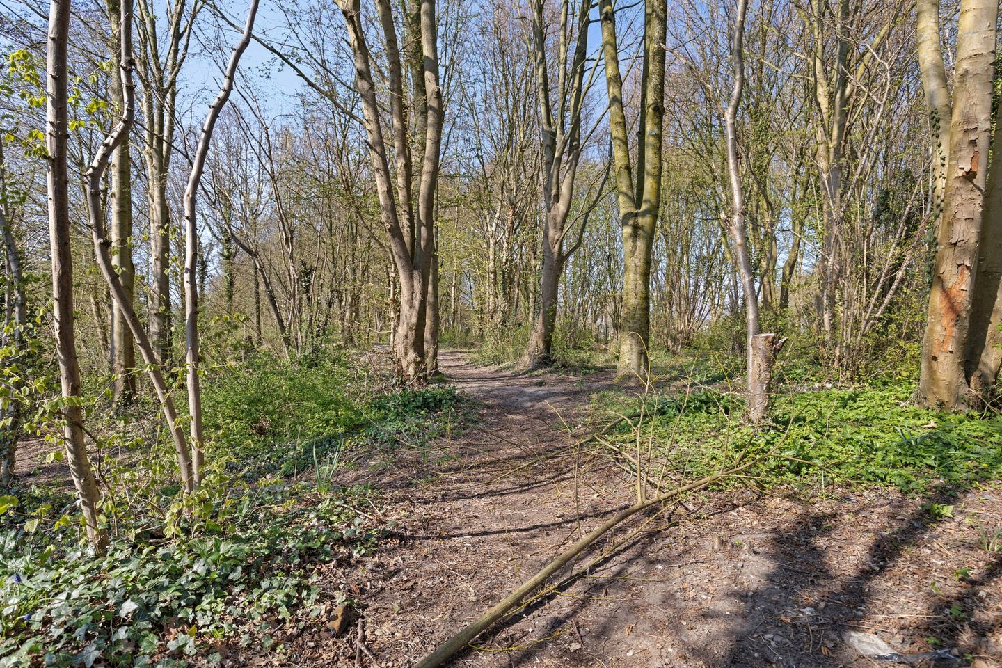Foto 40 van Klaterbos 66