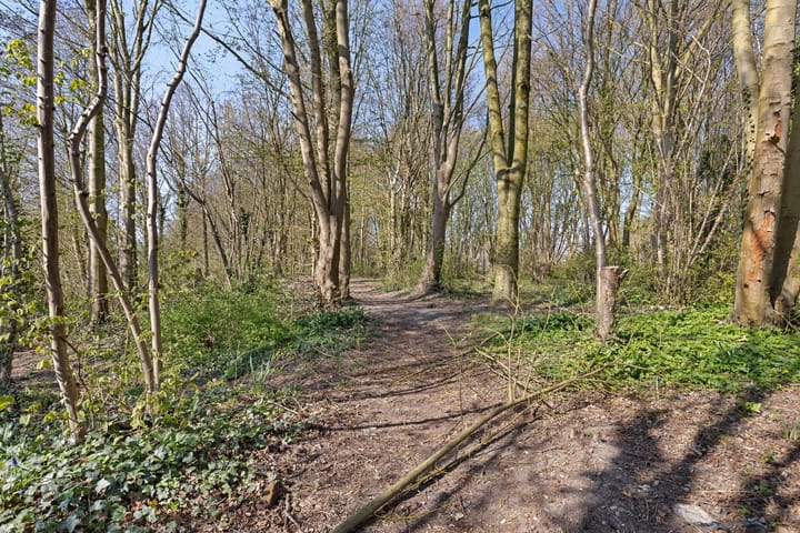 Foto 40 van Klaterbos 66