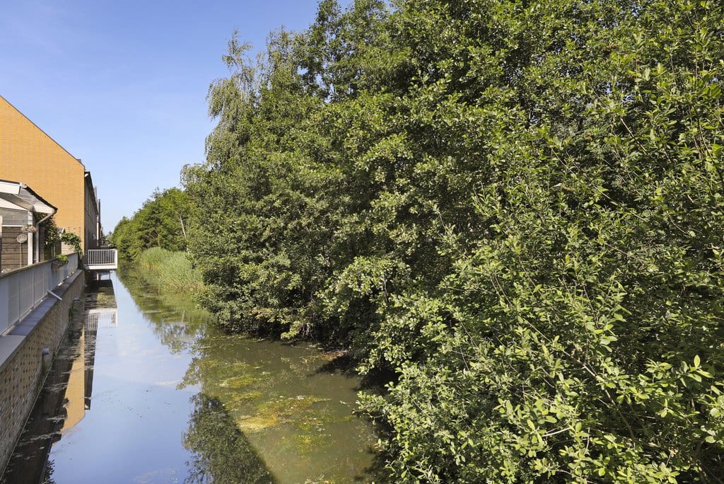 Photo 36 of Straat van Corsica 179