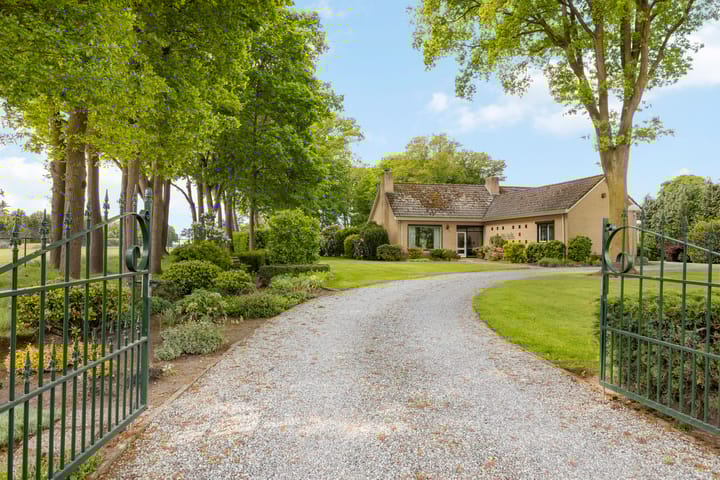 Foto 2 van Marisstraat 25