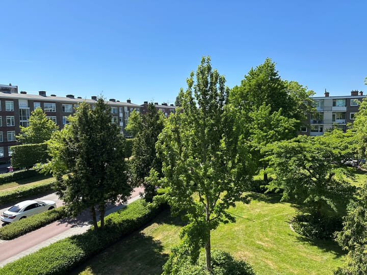 Foto 12 van van Leeuwenstraat 128