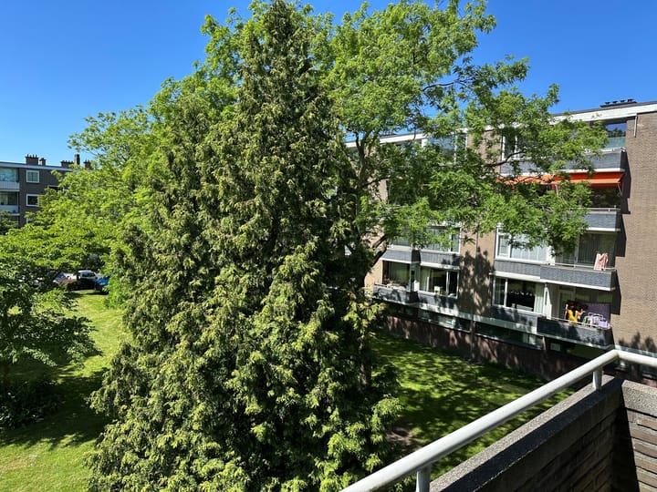 Foto 13 van van Leeuwenstraat 128