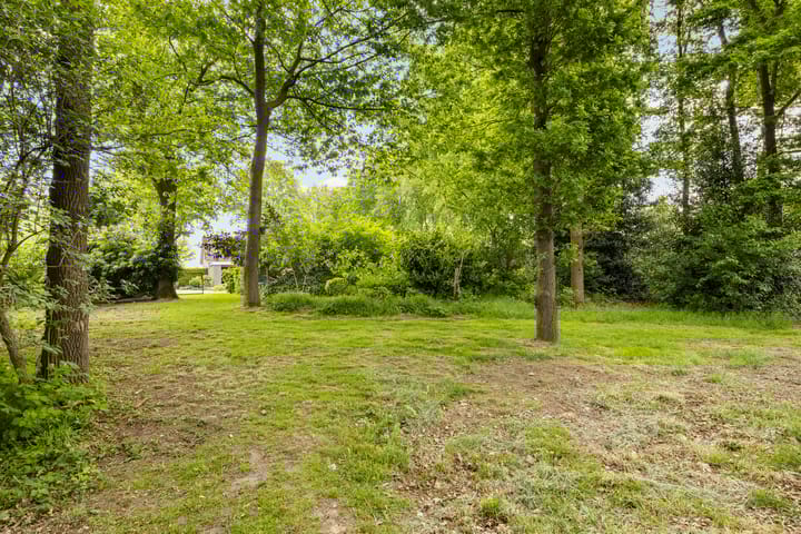 Foto 57 van Marisstraat 25