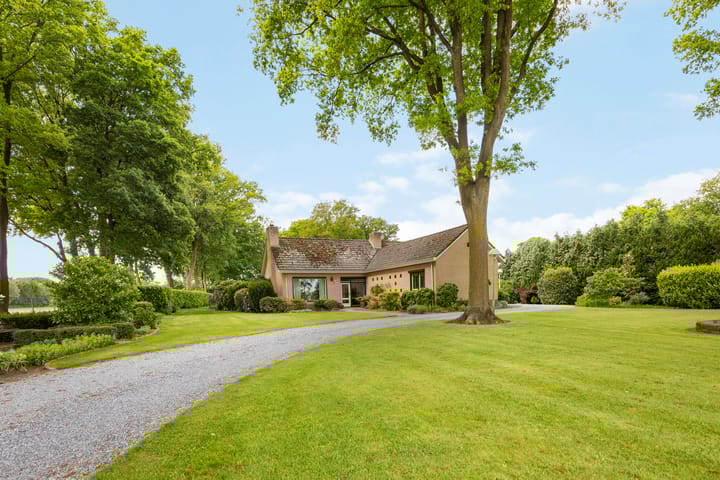 Foto 59 van Marisstraat 25