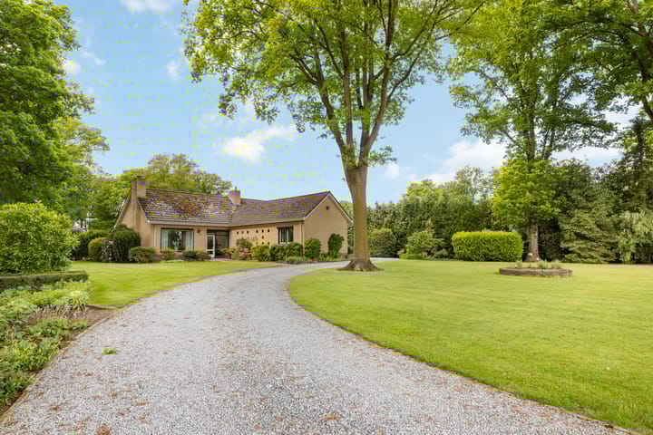 Foto 60 van Marisstraat 25