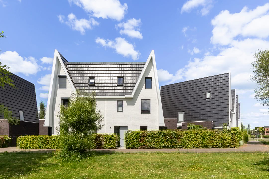 Photo 1 of Boomblauwtje 46