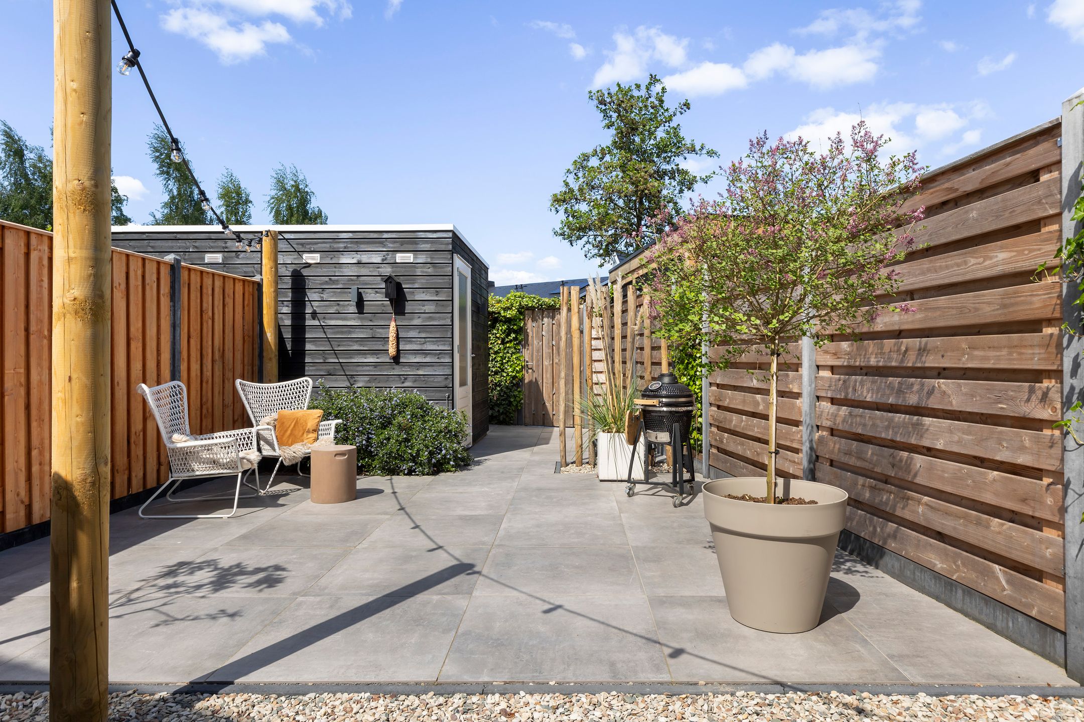 Photo 21 of Boomblauwtje 46